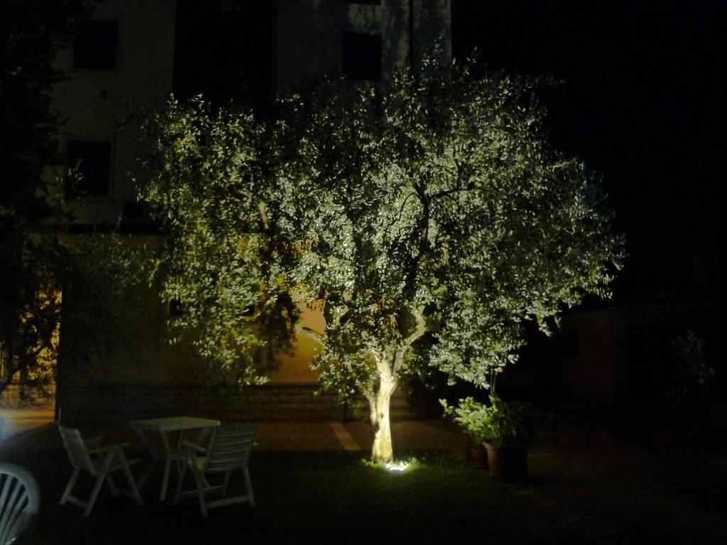 Dall'agnola 3* Garda (Verona)